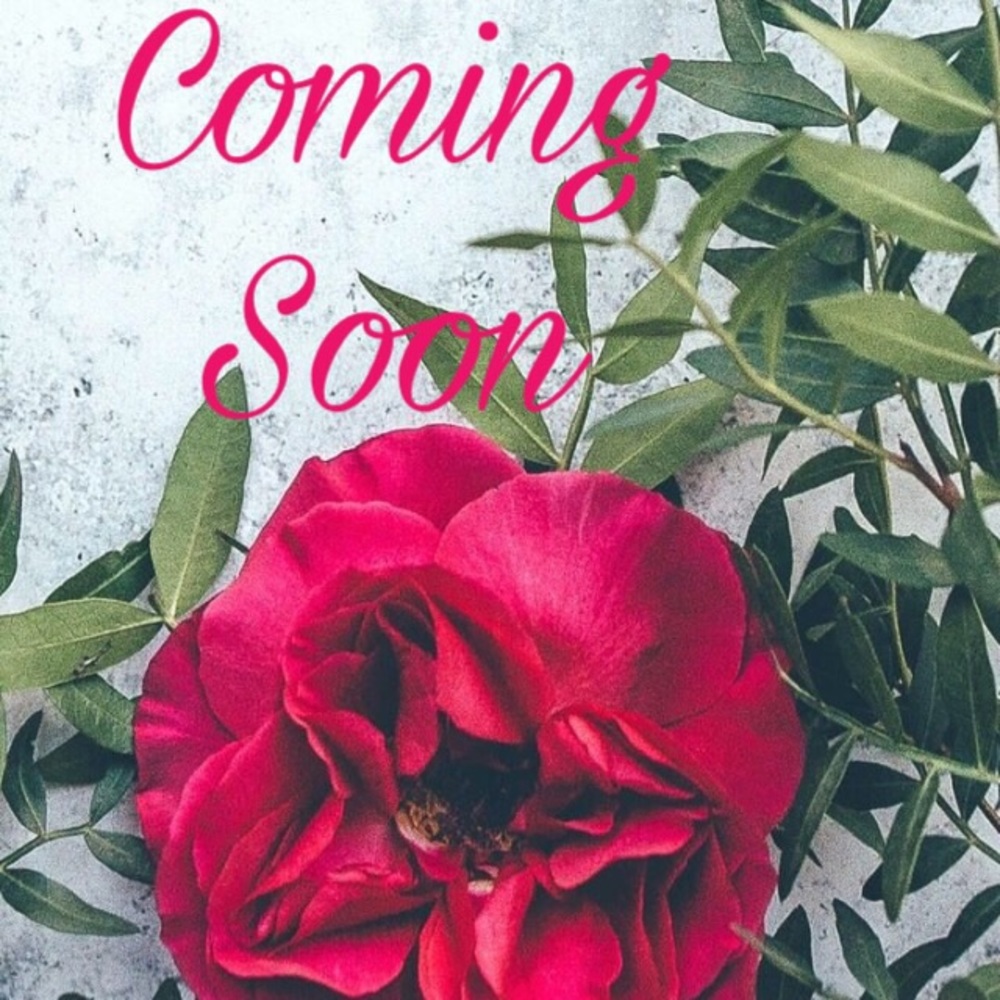🌺COMING SOON🌺